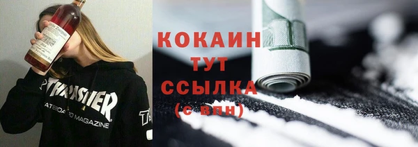 дживик Лабытнанги