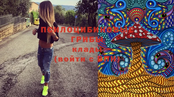 а пвп мука Липки