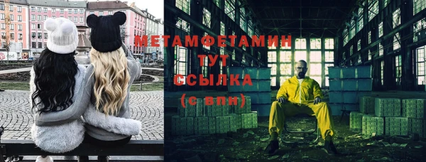 ПСИЛОЦИБИНОВЫЕ ГРИБЫ Лиски